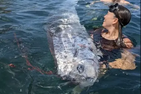 Рыба судного дня
