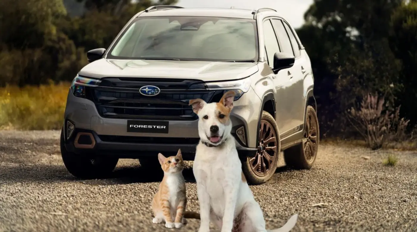 Собака и кошка рядом с авто