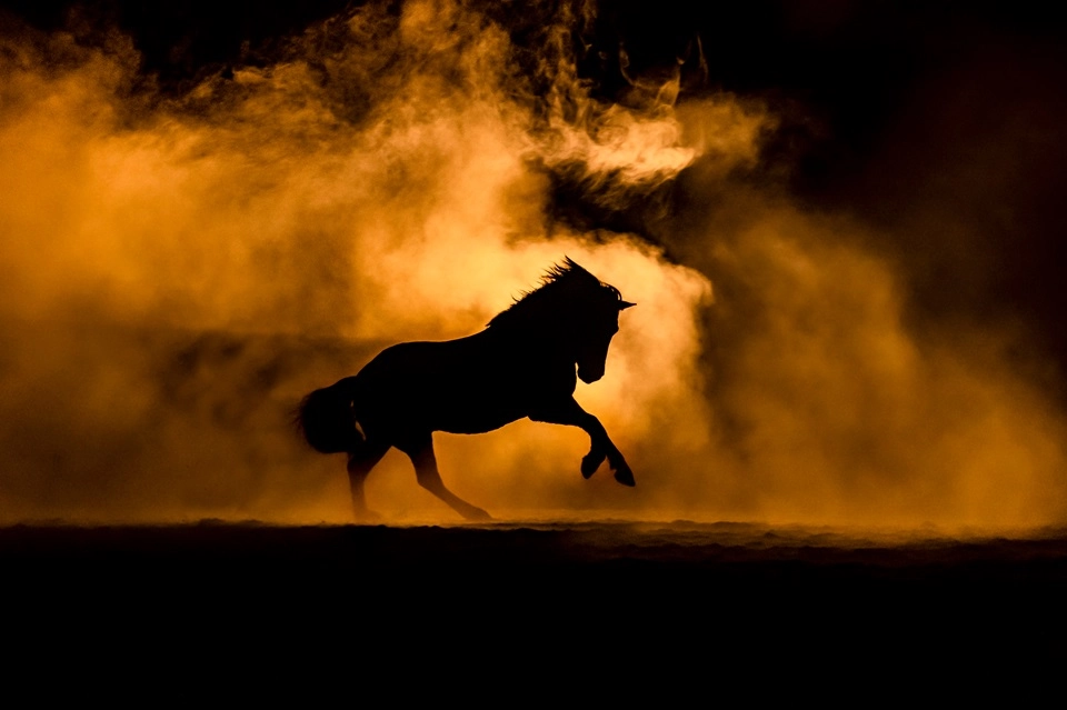2026-й – год Огненной Лошади