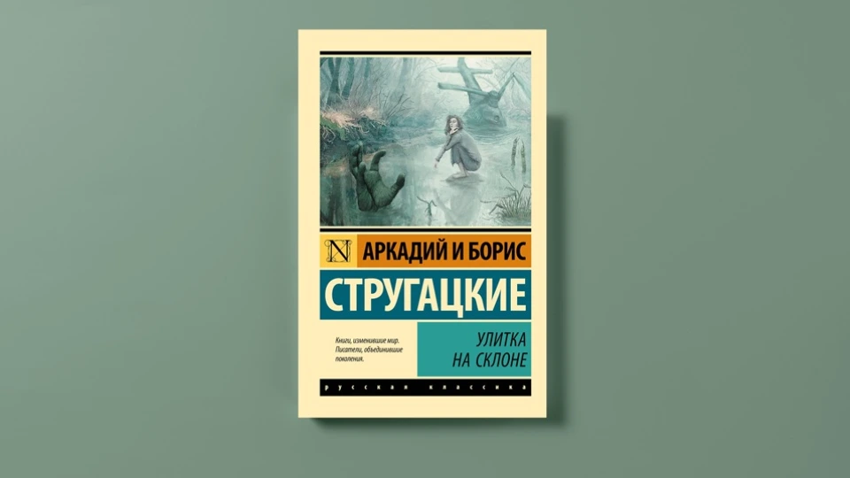 Книга «Улитка на склоне»