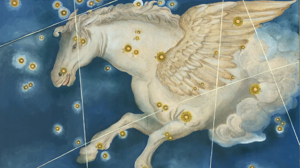 Пегас Иоганна Байера, 1603 год