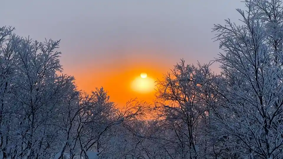 День зимнего солнцестояния