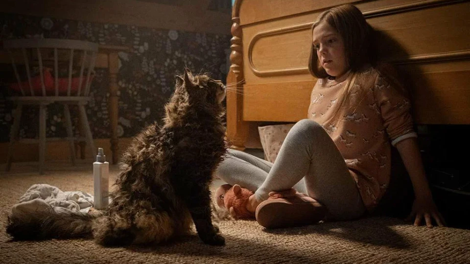Кадр из фильма «Кладбище домашних животных»