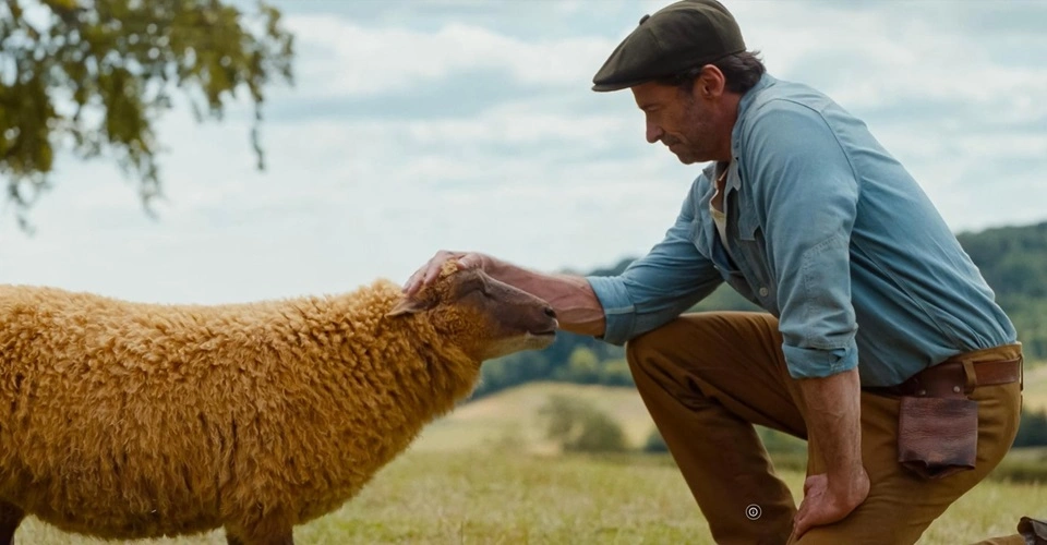 Три полные сумки: овечий детектив