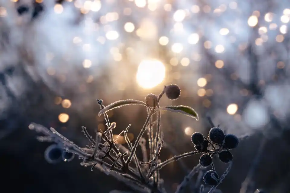 День зимнего солнцестояния