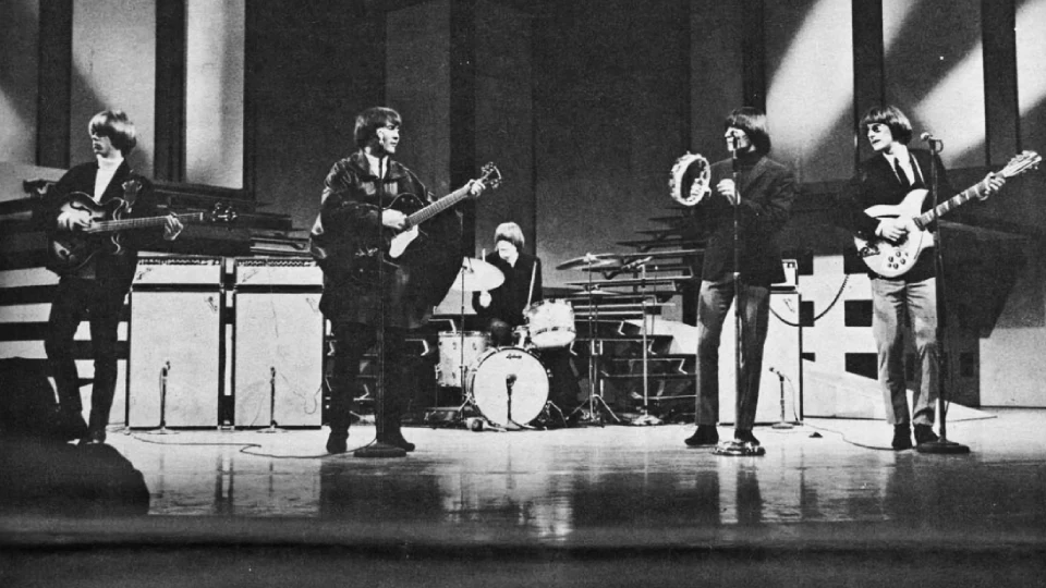 Выступление группы The Birds