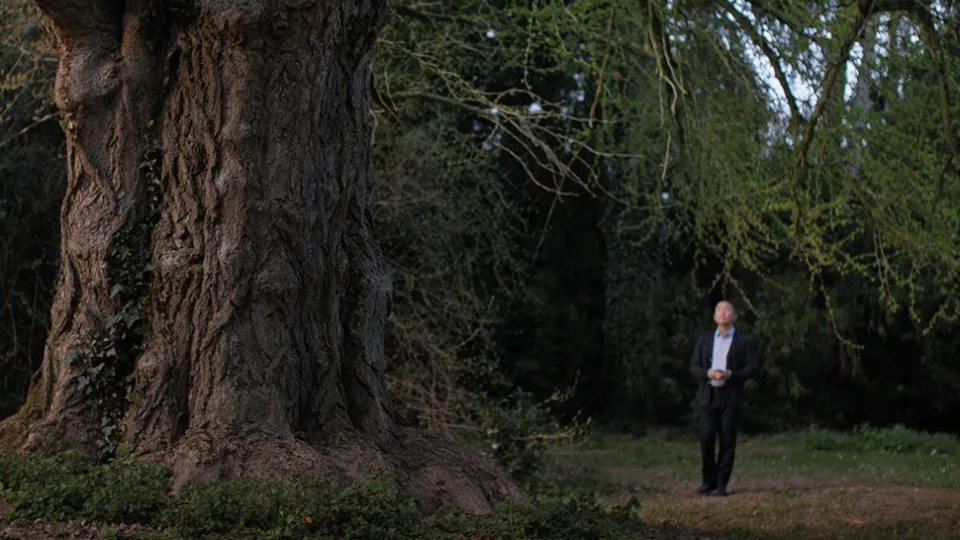 Кадр из фильма «Тихий друг»