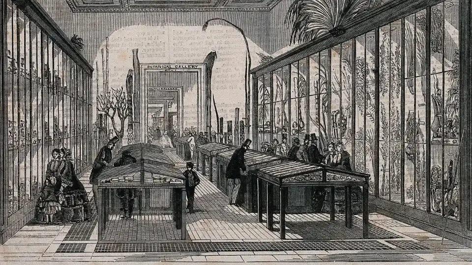Британский музей: Ботанический зал с посетителями. 1858